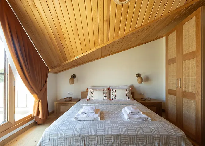 Ida Trio * Edremit (Balikesir)