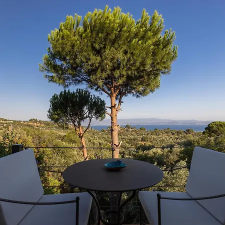 Ida Trio * Αδραμύττιο